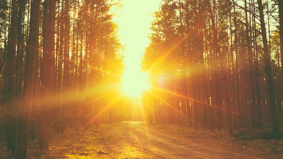 bigstock-Forest-Road-Sunset-Sunbeams-64068904