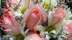 15-Όμορφες-εικόνες-με-λουλούδια