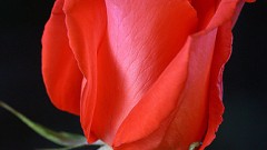 301145-249302257_80a1831104