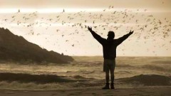 movies_corner_2013_04_into_the_wild_01